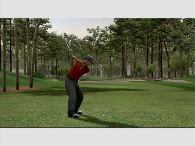 Tiger Woods PGA Tour 06