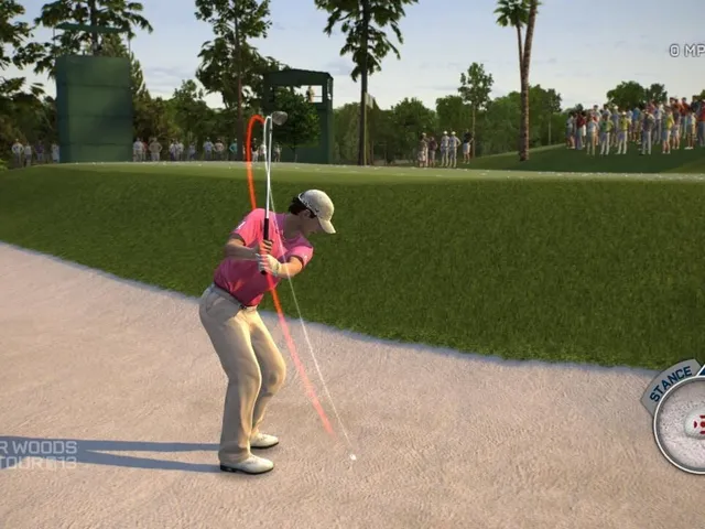 Tiger Woods PGA Tour 13