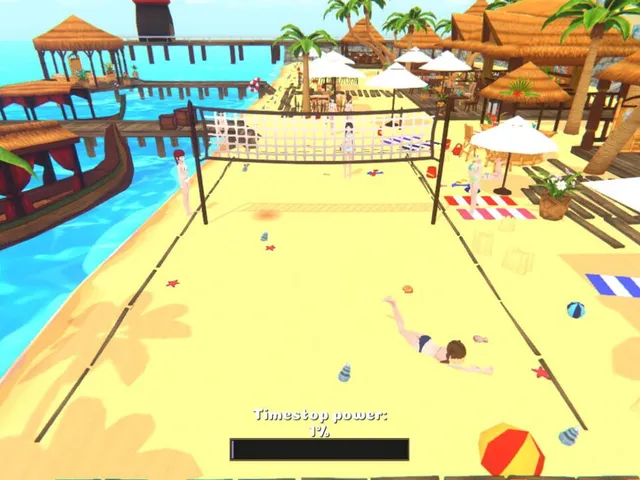 Timestop Volleyball