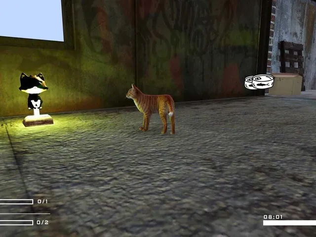 Tinny Strays