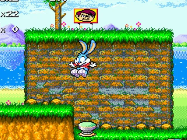 Tiny Toon Adventures: Buster's Hidden Treasure