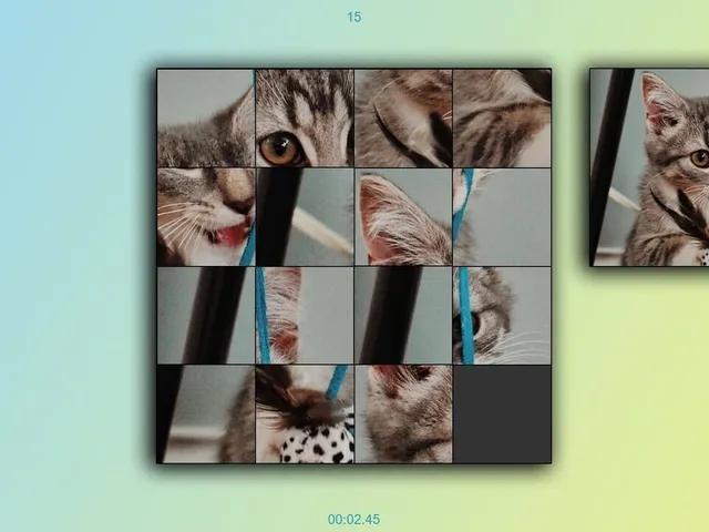 TitTok Kitty