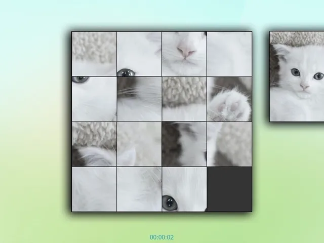 TitTok