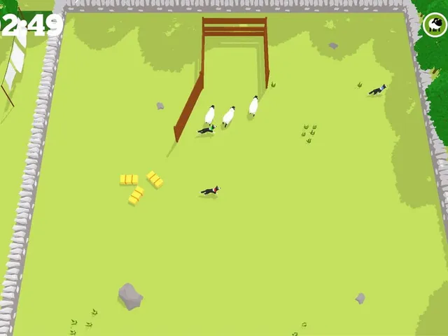 Too Many Sheep