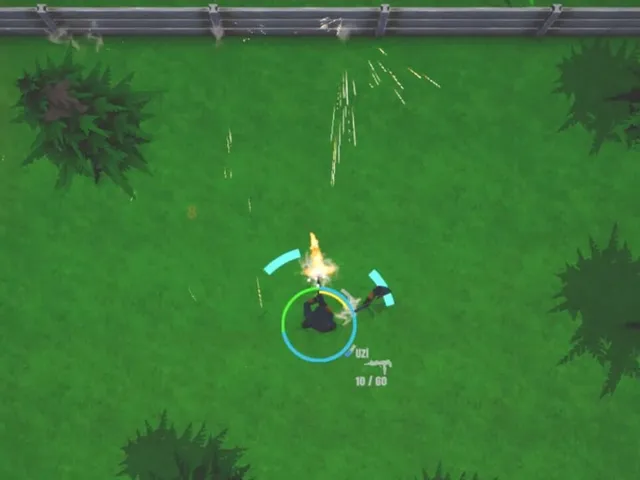 Top Down Survivor