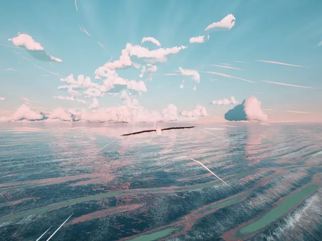 Toroa: Skycall