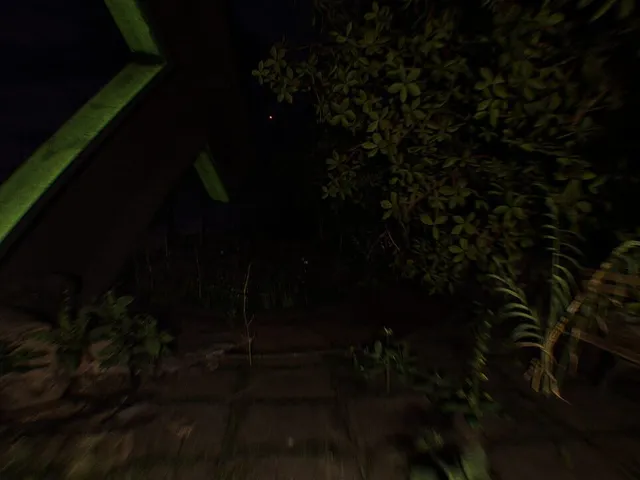 Toto Zoo
