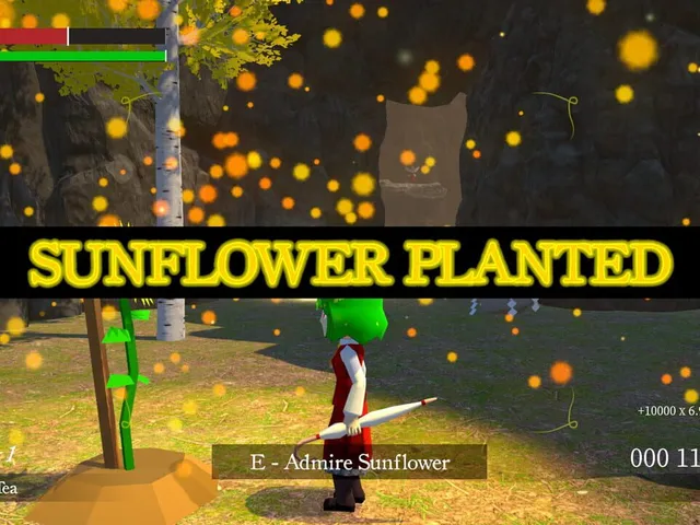 Touhou: Dreams of a Sunflower