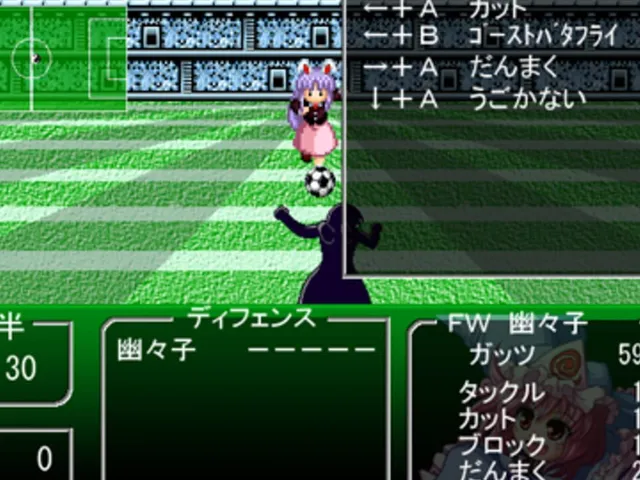 Touhou Soccer Moushuuden