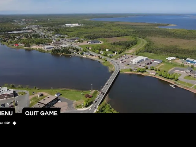 Tracadie Bird Shit