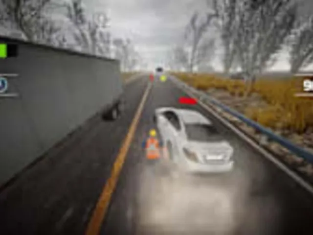 Traffic Survivor