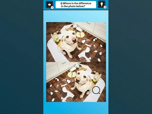 Train Your Brain! Spot the Difference with Dog Photos