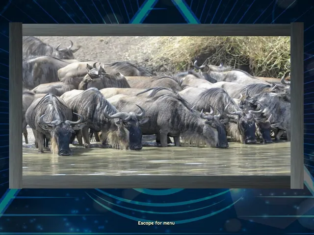 Trials of the Illuminati: Amazing Wildlife Jigsaws