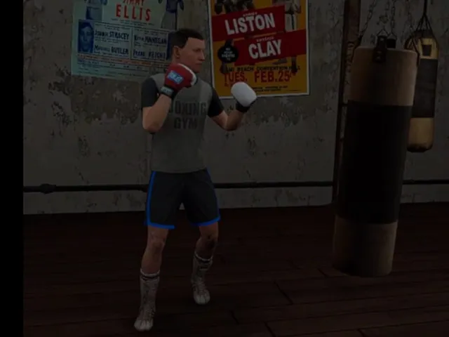 True Boxing VR