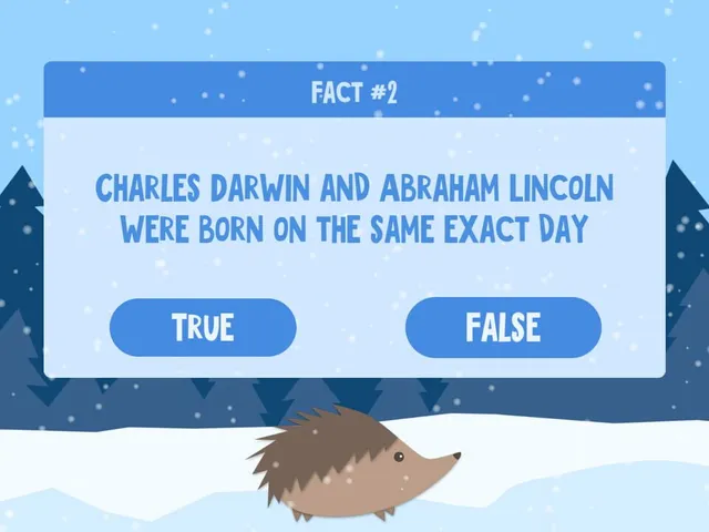 True or False 2