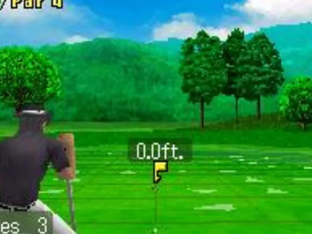 True Swing Golf