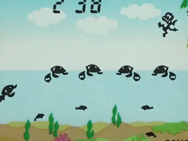 Turtle Bridge