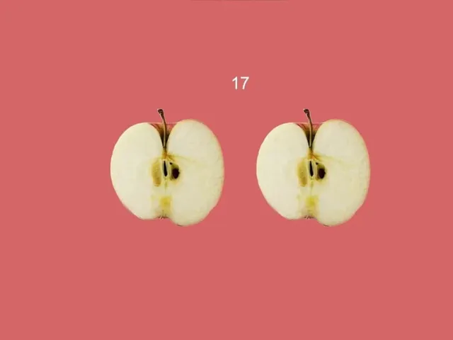 Two Apples