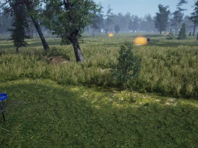 Ultimate Disc Golf