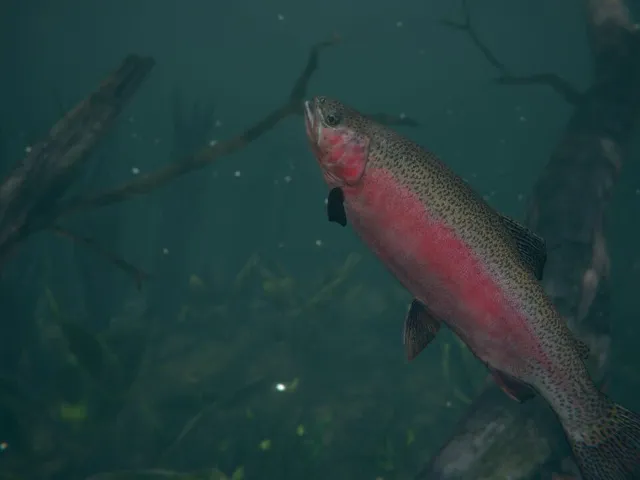 Ultimate Fishing Simulator 2