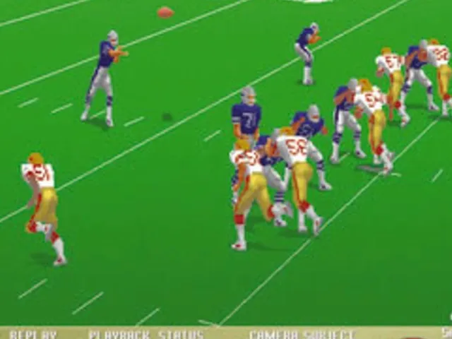 Unnecessary Roughness '96