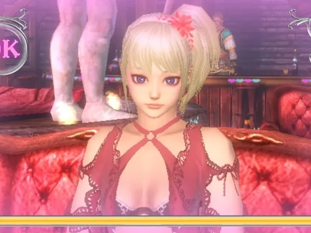 Valhalla Knights 3
