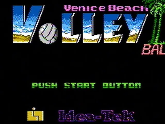 Venice Beach Volleyball