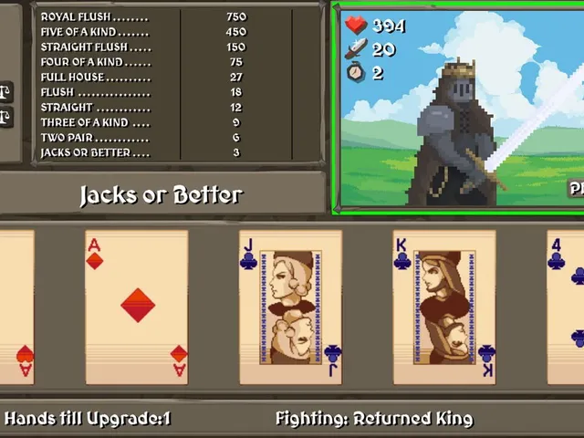 Video Poker Rogue