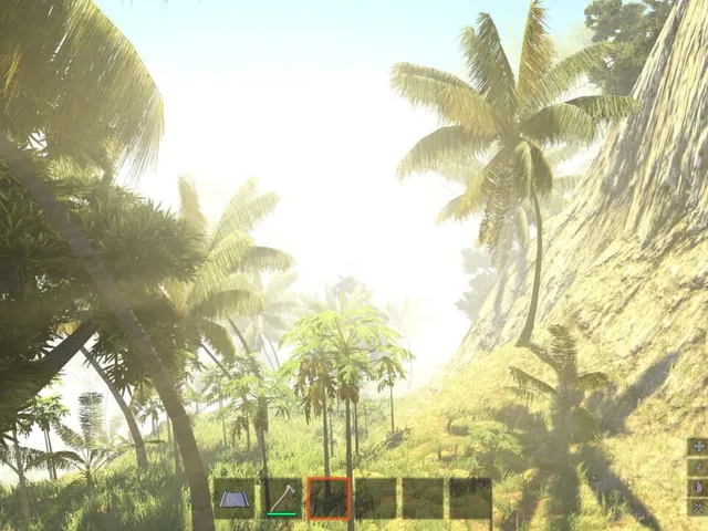 Vietcong