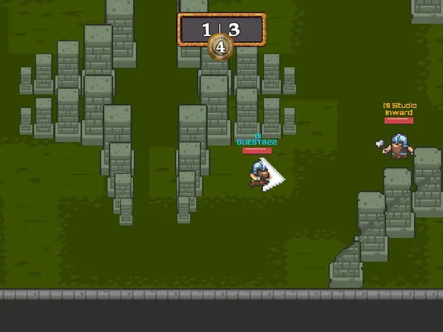 Viking Fight