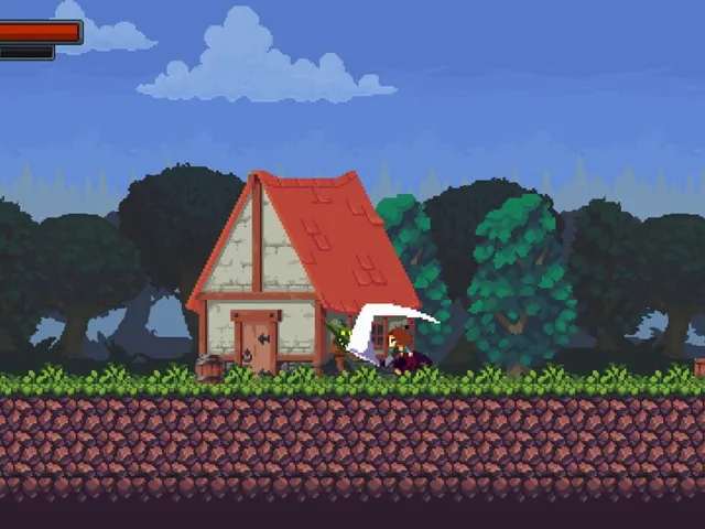 Village Defender