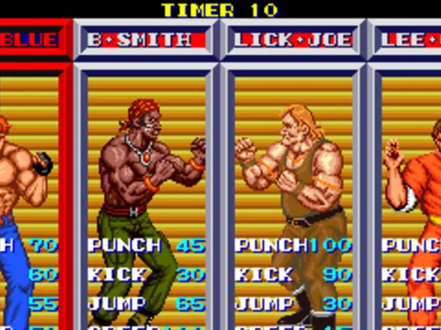 Violence Fight