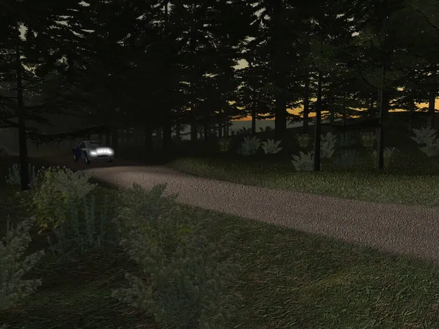 Virage Rally