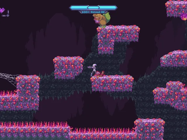 Vision Soft Reset