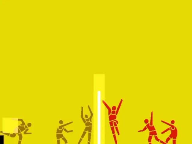 Volleyball