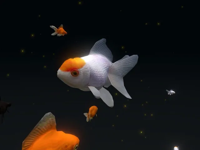 VR Aquarium Miyabi