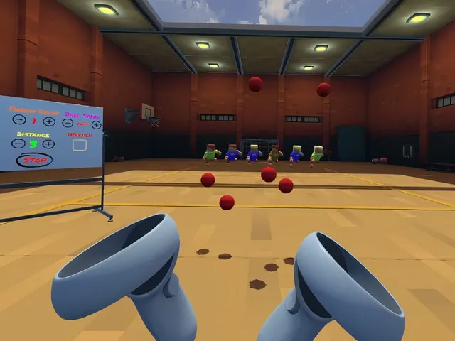 VR Dodgeball Trainer