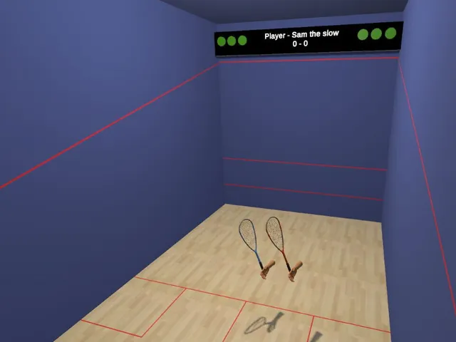 VR Squash 2017