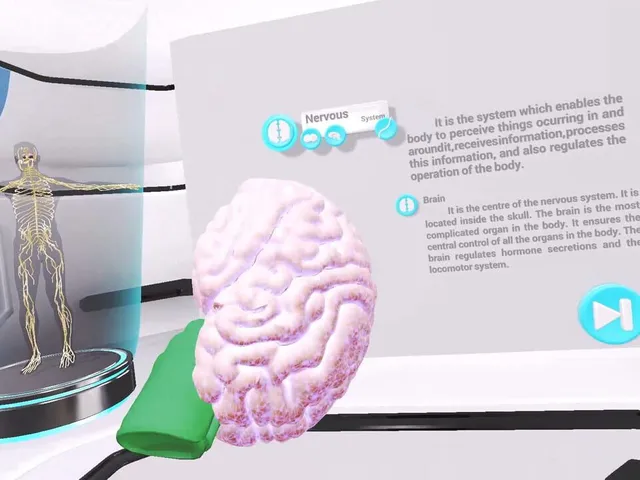 VRLab Academy: Anatomy VR