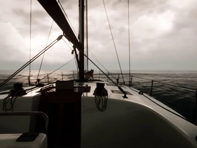 Waking Tides