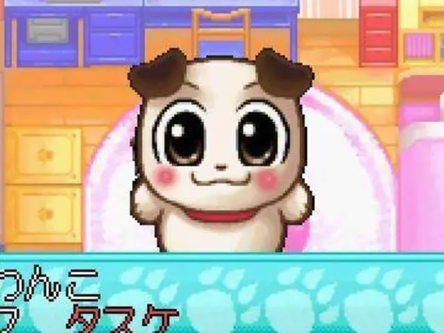 Wanko Mix
