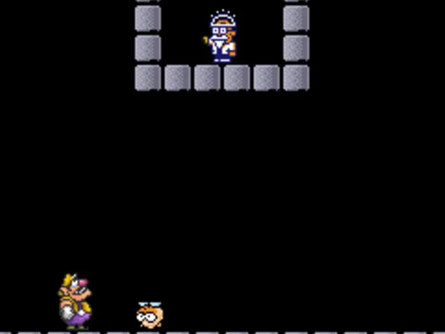 Wario Land Remix