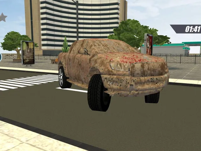 Wash Sim