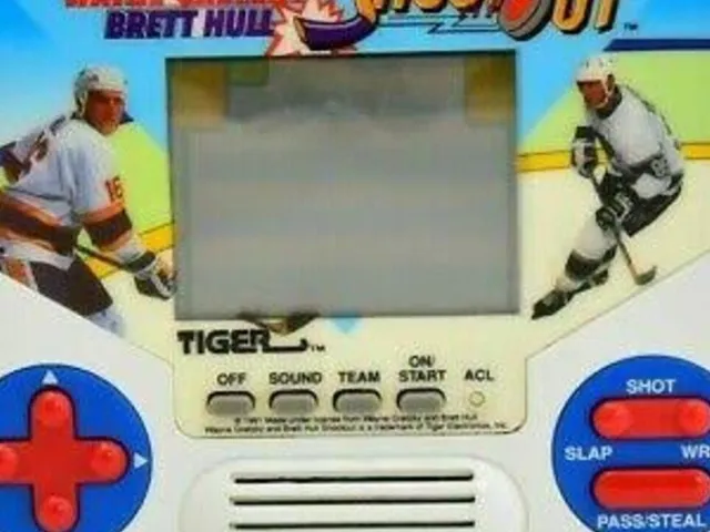 Wayne Gretzky and Brett Hull Shootout Hockey