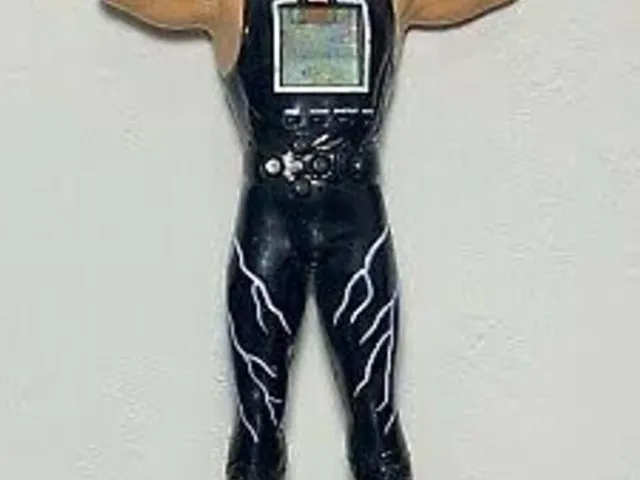 WCW Hollywood Hulk Hogan Power Fighter