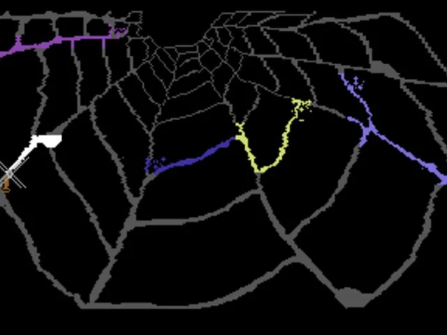Web Dimension