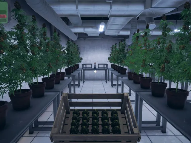 Weed Supermarket Simulator