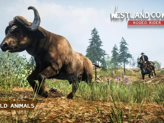 Westland Cowboy: Rodeo Rider