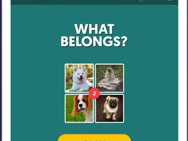 What Belongs?Find Hidden Words