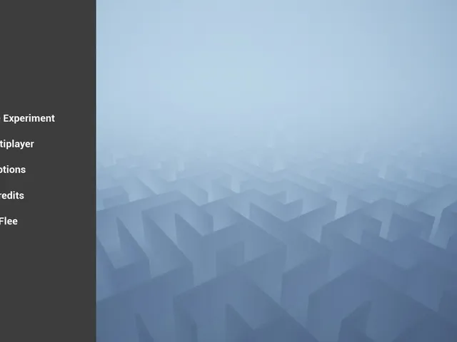 What the Maze